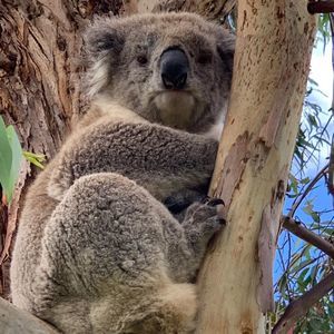 Meet your Posher, Marilyn